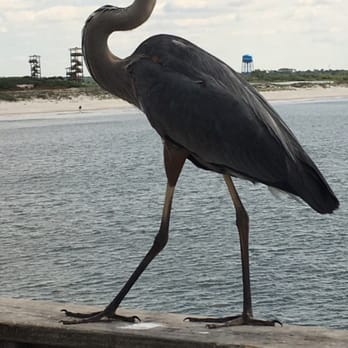 Gulf State Park Pier - Parks Near Me - Gulf Shores, Alabama Gulf State Park Pier - Parks Near Me - Gulf Shores, Alabama