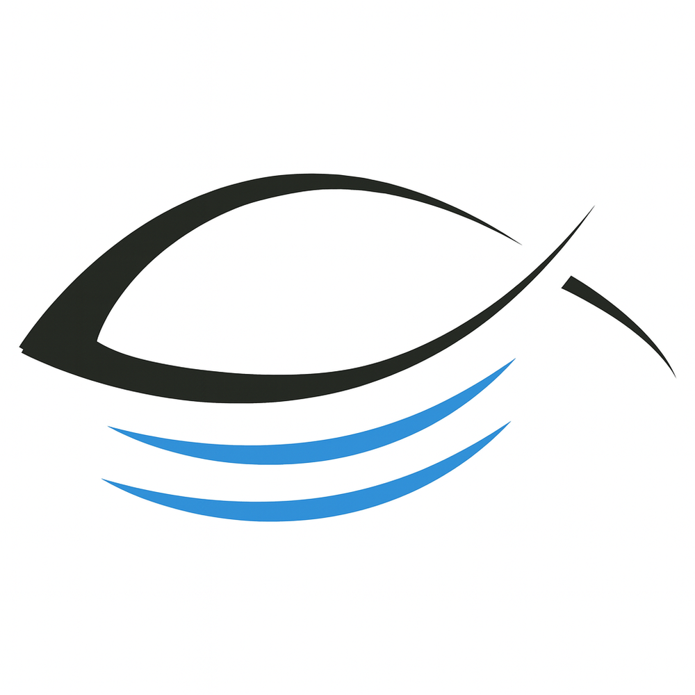 Tomu San Sushi Tomu San Sushi