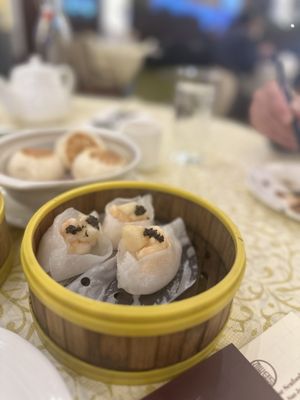 Grand Dynasty Chinese Seafood Restaurant by null