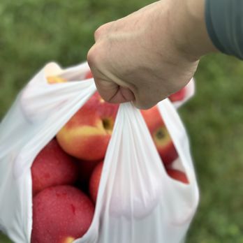 Catoctin Mountain Orchard - Big bag - Fruits & Veggies Near Me - Thurmont, Maryland Catoctin Mountain Orchard - Big bag - Fruits & Veggies Near Me - Thurmont, Maryland