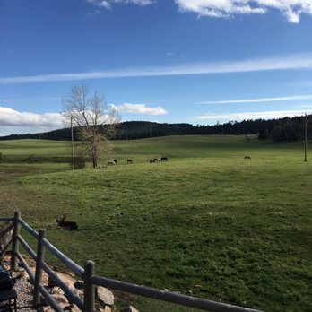Ghost Canyon Ranch - Bed & Breakfast Near Me - Hermosa, South Dakota