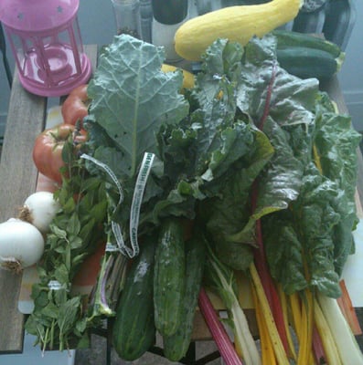 Truly Living Well Center for Natural Urban Agriculture - Collegetown Farm by null