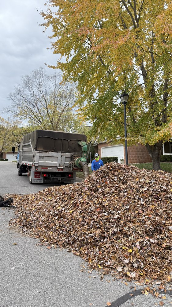 Tikal Lawn and Landscaping - tree service in Knoxville, TN