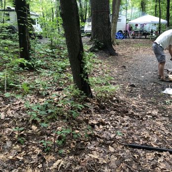 New York City North / Newburgh KOA - Poison ivy to the rear - Campgrounds Near Me - Plattekill, New York