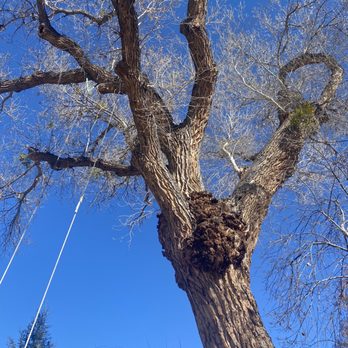 DA RANCH - Updated December 2024 - 268 Photos & 122 Reviews - 1901 N ...