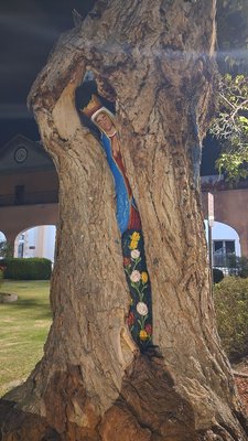 San Felipe de Neri Catholic Church by null