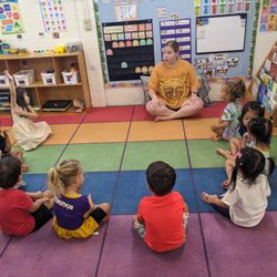 The Toddler Program