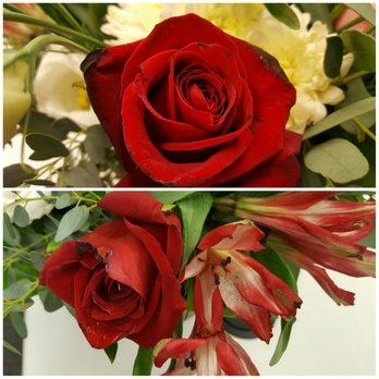 Flowers For Dreams - Dying flowers delivered a day late. - Florists Near Me - Chicago, Illinois