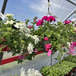 The Barn Nursery