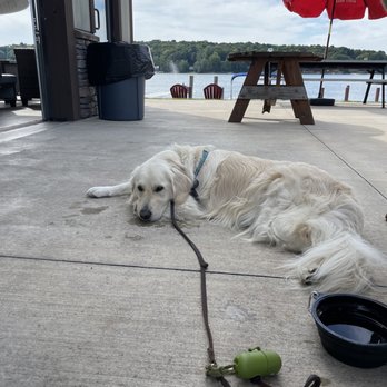 Pier Fifty-Three Brick Oven - Me wiped out on the deck. Relaxing - Pizza Near Me - Wolcott, New York Pier Fifty-Three Brick Oven - Me wiped out on the deck. Relaxing - Pizza Near Me - Wolcott, New York