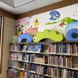 Parma Public library