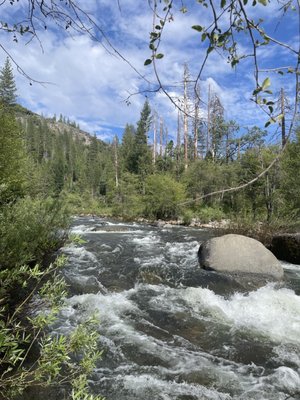 Wawona Campground by null