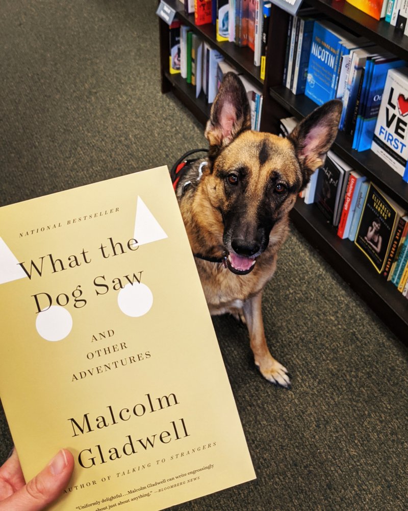 APEX MOVEMENT DOG TRAINING Updated September 2024 Request a Quote