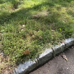 Jose's Tree Service & Landscaping - Ruts left in the lawn from parking the chipper there.