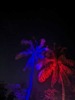 Blue Dragon Tavern & Cosmic Musiquarium by null