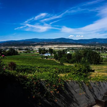 Ancient Hill Winery - Wineries Near Me - Kelowna, British Columbia