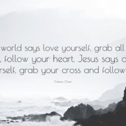 True Vine Fellowship