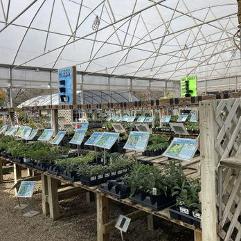 Rainbow Gardens - Nurseries & Gardening Near Me - San Antonio, Texas Rainbow Gardens - Nurseries & Gardening Near Me - San Antonio, Texas