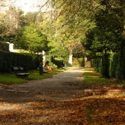 Château De La Reynerie - Allée boisée juste avant le Château