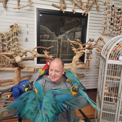 Parties By Parrots