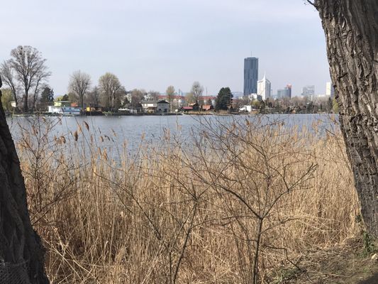 Alte Donau by null