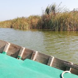 L'Albufera