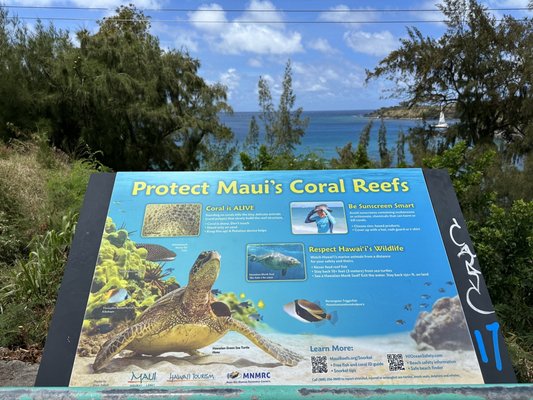 Slaughterhouse Beach by null