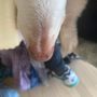 Photo of Bone Dry Grooming Salon