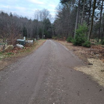 From the Woods Farm - Long driveway - Christmas Trees Near Me - Canton, Connecticut From the Woods Farm - Long driveway - Christmas Trees Near Me - Canton, Connecticut