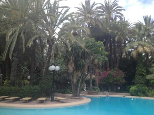 Hotel Huerto del Cura by null