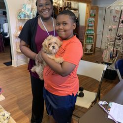 Teacup and Toy Pets Boutique