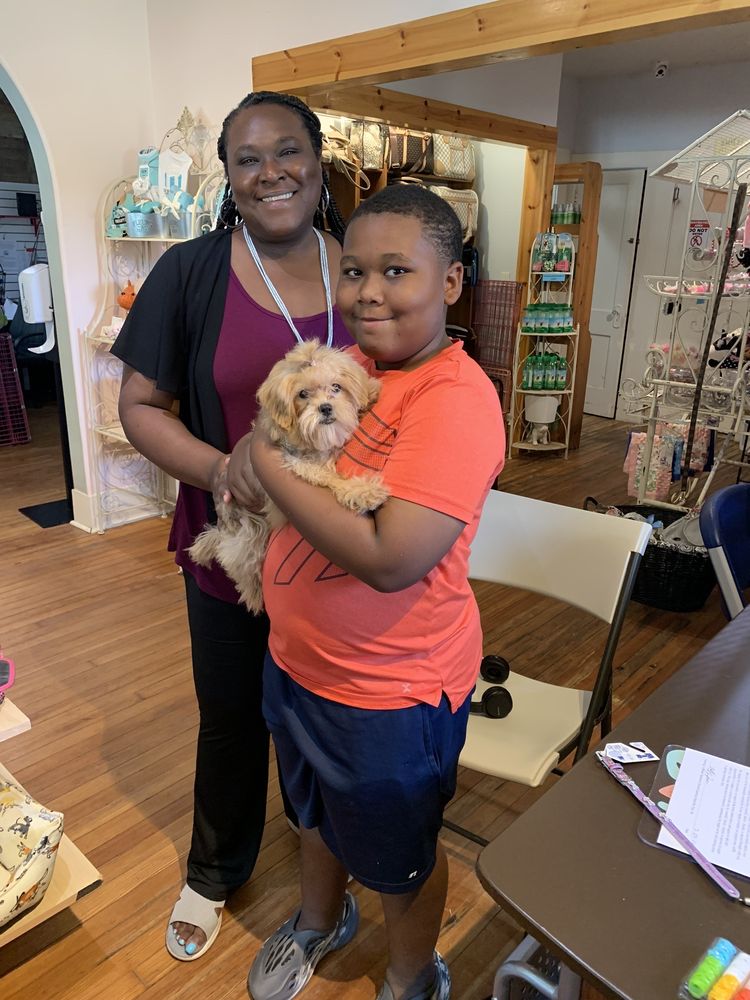 Teacup and Toy Pets Boutique Image