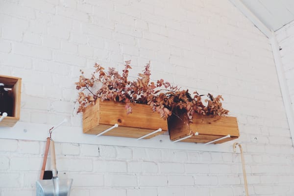 Tall Timber Cafe by null