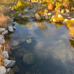 Pond