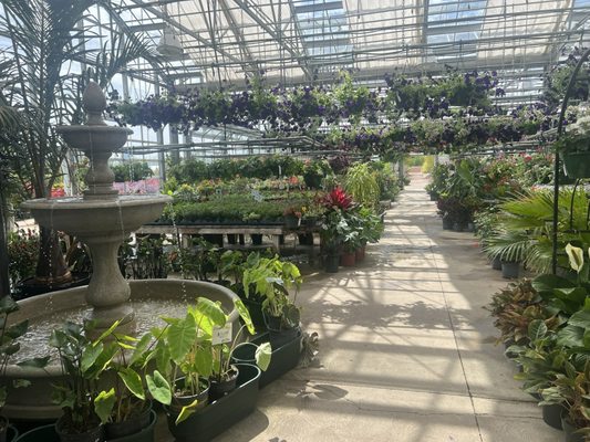 Lucas Nursery Landscaping
