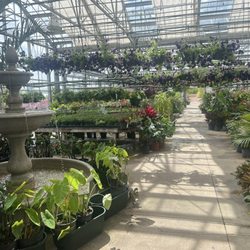 Lucas Nursery & Landscaping