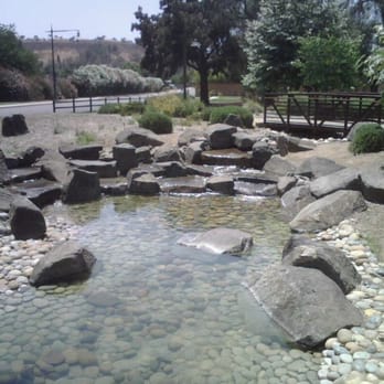 Carver Landscape Construction - a small pond surrounded by rocks - Landscaping Near Me - La Mesa, California Carver Landscape Construction - a small pond surrounded by rocks - Landscaping Near Me - La Mesa, California