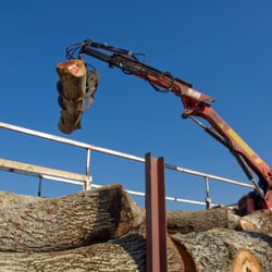 SkyHook Tree