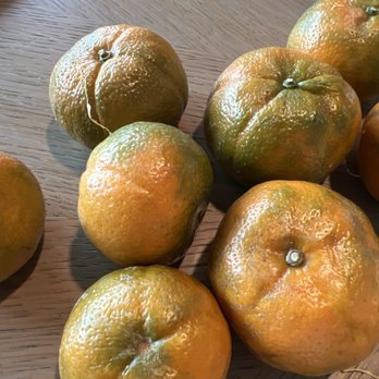 Maui Greens Market - Tangerines - Farmers Market Near Me - Kahului, Hawaii Maui Greens Market - Tangerines - Farmers Market Near Me - Kahului, Hawaii