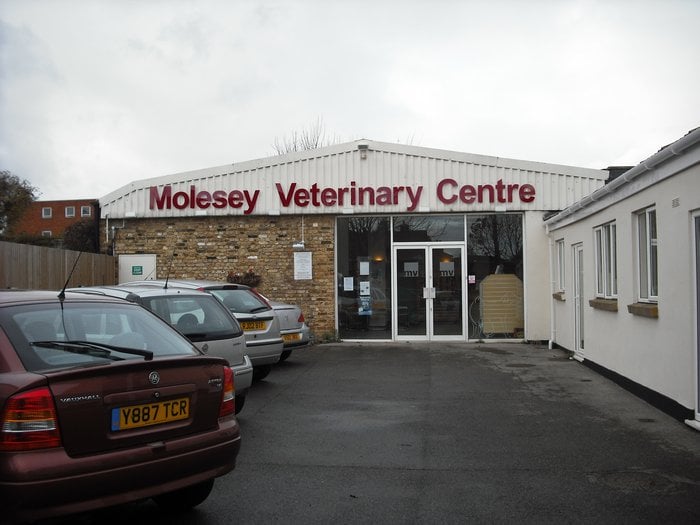MOLESEY VETERINARY CENTRE Updated September 2024 4 Park Road, East