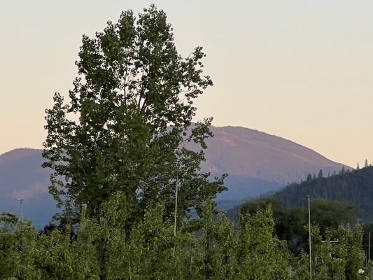 Edenvale Winery by null