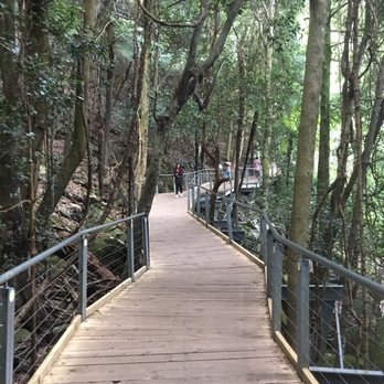 Scenic World Blue Mountains - Trail - Tours Near Me - Katoomba, NSW
