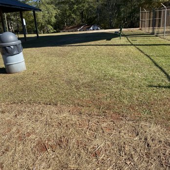 Willis Lawn Care - Lawn Services Near Me Willis Lawn Care - Lawn Services Near Me
