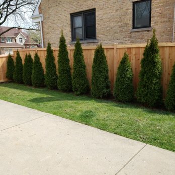 Red Cedar Fence - Love it!! - Fences & Gates Near Me - Wheeling, Illinois