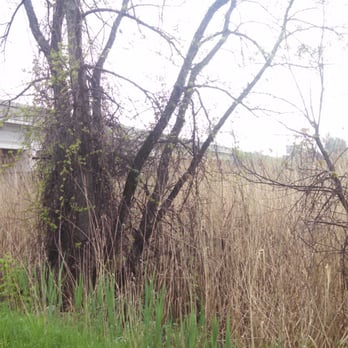East River Trail - Hwy 172 - Parks Near Me - Green Bay, Wisconsin East River Trail - Hwy 172 - Parks Near Me - Green Bay, Wisconsin