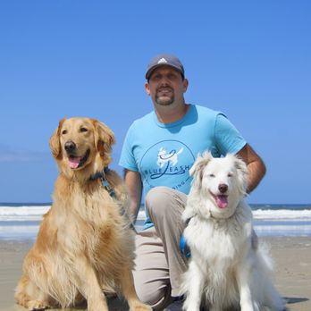 Blue Leash Dog Training - Dog trainer Amit Gorlicki with his rescue dogs, Bonnibel and Bowen. - Pet Training Near Me Blue Leash Dog Training - Dog trainer Amit Gorlicki with his rescue dogs, Bonnibel and Bowen. - Pet Training Near Me