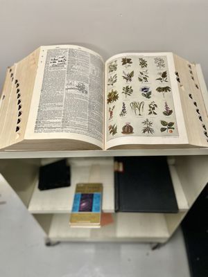 Yerkes Observatory by null