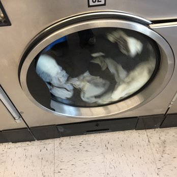 Love Laundry - Laundromat Near Me - Los Angeles, California