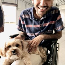 Julian's House - All dogs are welcome at Julian's House.