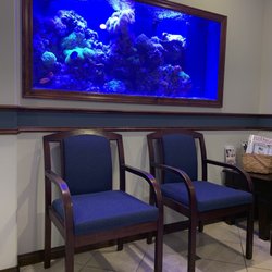 William S Kachele Jr, DMD - Nice fish tank in front office